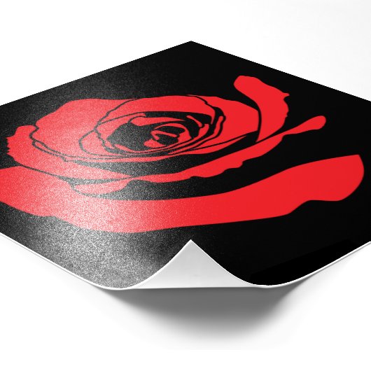 Rose Fotodruck (Ecke)