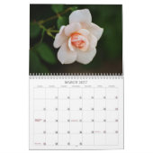 Rose Fotografie Blume Kalender (Mär 2027)