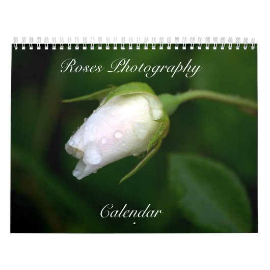 Rose Fotografie Blume Kalender (Titelbild)