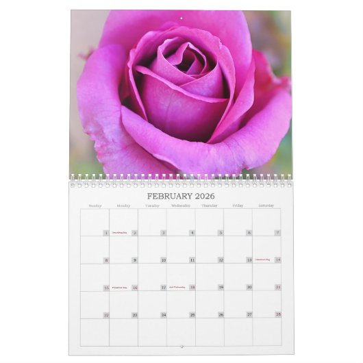 Rose Fotografie Blume Kalender (Feb 2026)