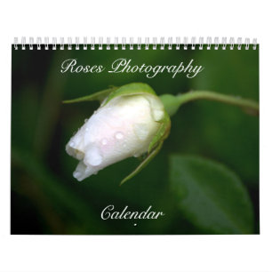 Rose Fotografie Blume Kalender