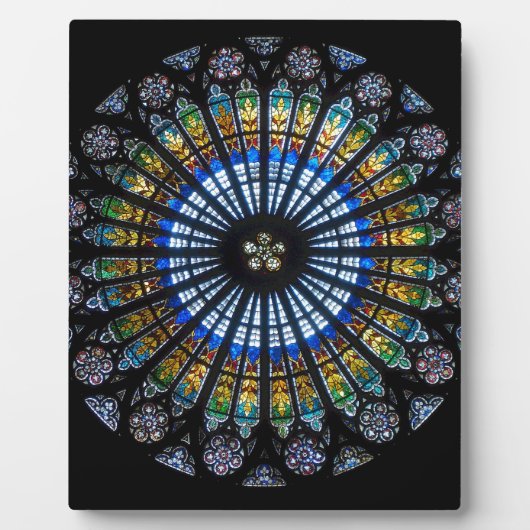 Rose Fotoplatte (Vorderseite)