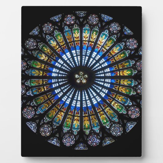 Rose Fotoplatte (Vorderseite)