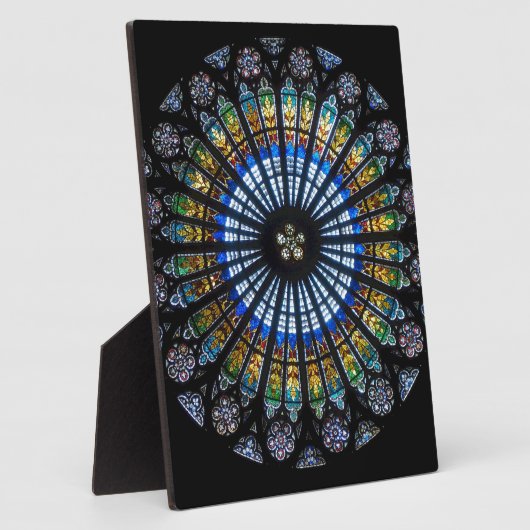 Rose Fotoplatte (Seite)