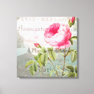 Rose Französisch Accent Shabby Premium Wrapped Can Leinwanddruck