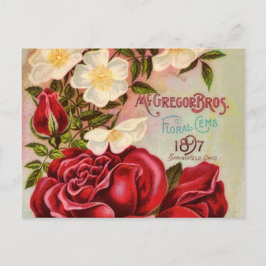 Rose für Blumenspielgeräte Vintage Blume Postkarte (Vorderseite)