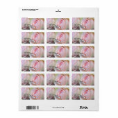 Rose für das Adressetikett (Vorne)