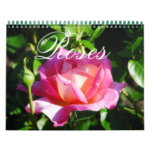 Rose für den Englischen Garten Kalender