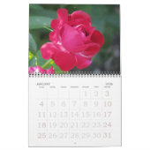 Rose für den Englischen Garten Kalender (Jan 2026)