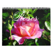 Rose für den Englischen Garten Kalender (Titelbild)