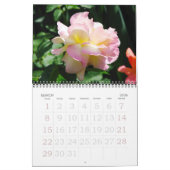 Rose für den Englischen Garten Kalender (Mär 2026)
