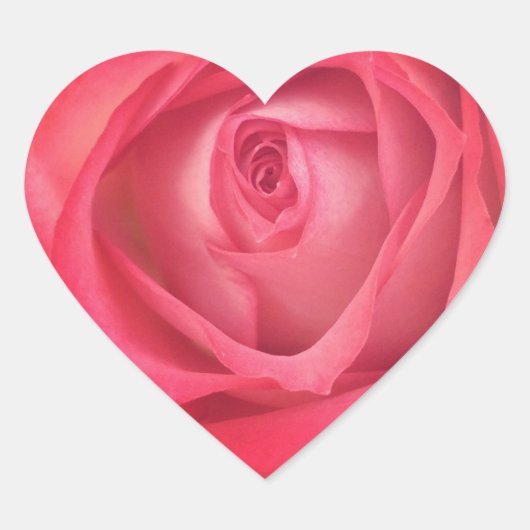 Rose für Feuer und Eis Herz-Aufkleber (Vorderseite)