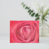 Rose für Feuer und Eis Postkarte (Stehend Vorderseite)
