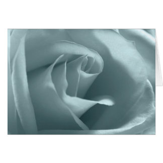Rose für Frieden