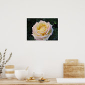 Rose für Frieden Poster (Küche)