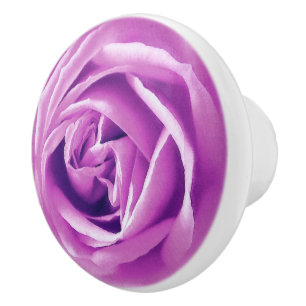 Rose für große Lavendel Keramikknauf
