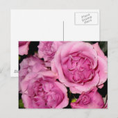 Rose für Mutter Postkarte (Vorne/Hinten)