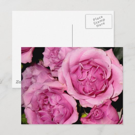 Rose für Mutter Postkarte (Vorne/Hinten)