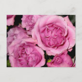 Rose für Mutter Postkarte (Vorderseite)