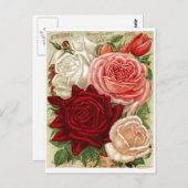 Rose für Vintage Gartenanlagen Postkarte (Vorne/Hinten)