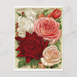 Rose für Vintage Gartenanlagen Postkarte