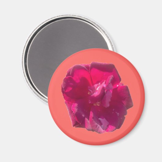 ROSE G MAGNET (Vorderseite/Rückseite)