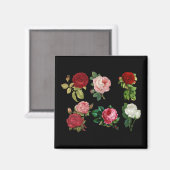 Rose-Galermagnet Magnet (Vorderseite/Rückseite)