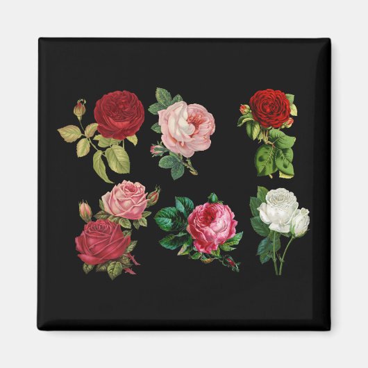 Rose-Galermagnet Magnet (Vorne)