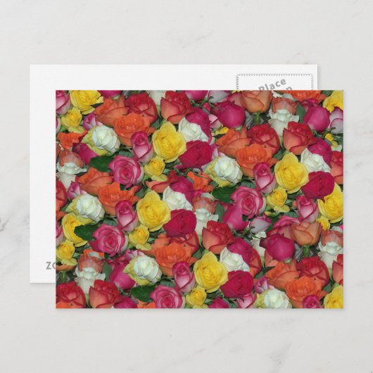 Rose Galore Postkarte (Vorne/Hinten)