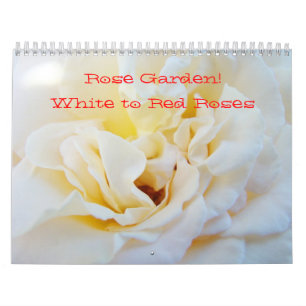 Rose Garden! Kalender Fotografie weiß bis rot