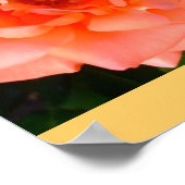 Rose Garden Mod Chic Klassische Blumenblüten Poster (Ecke)