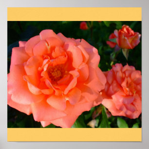 Rose Garden Mod Chic Klassische Blumenblüten Poster