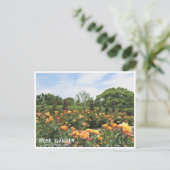 Rose Garden (Nagai Botanical Garden) ポストカード Postkarte (Stehend Vorderseite)