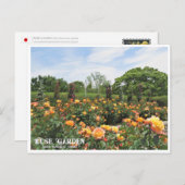 Rose Garden (Nagai Botanical Garden) ポストカード Postkarte (Vorne/Hinten)