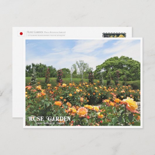 Rose Garden (Nagai Botanical Garden) ポストカード Postkarte (Vorne/Hinten)
