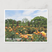 Rose Garden (Nagai Botanical Garden) ポストカード Postkarte (Vorderseite)