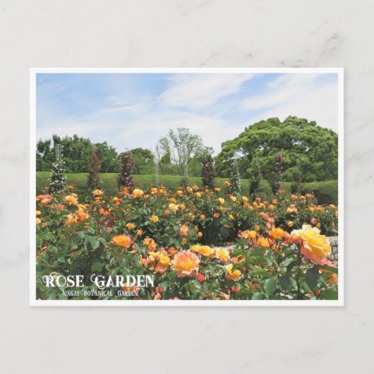Rose Garden (Nagai Botanical Garden) ポストカード Postkarte (Vorderseite)