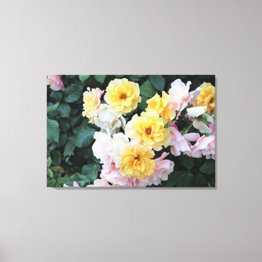Rose Garden Pastelle Leinwanddruck (Vorderseite)