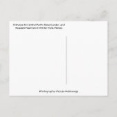 Rose Garden & Peacock Winterpark Florida Postkarte (Rückseite)