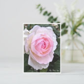 Rose Garden Postkarte (Stehend Vorderseite)