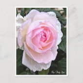 Rose Garden Postkarte (Vorderseite)