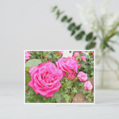 Rose Garden Postkarte (Stehend Vorderseite)