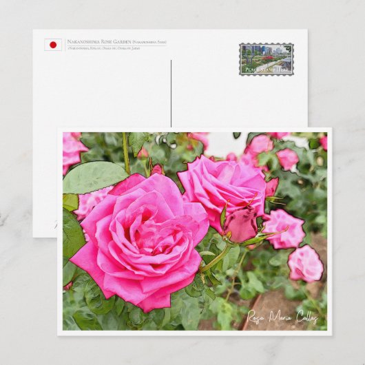 Rose Garden Postkarte (Vorne/Hinten)