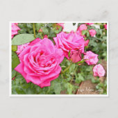 Rose Garden Postkarte (Vorderseite)