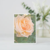 Rose Garden Postkarte (Stehend Vorderseite)