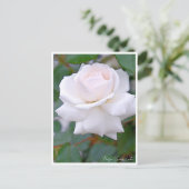 Rose Garden Postkarte (Stehend Vorderseite)