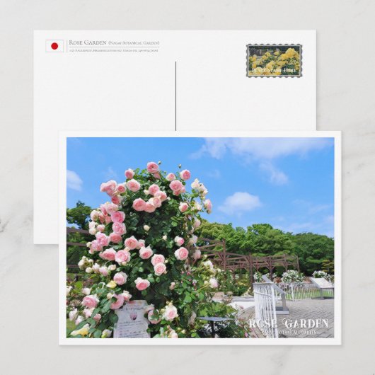 Rose Garden Postkarte (Vorne/Hinten)