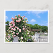 Rose Garden Postkarte (Vorderseite)