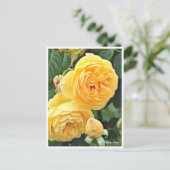 Rose Garden Postkarte (Stehend Vorderseite)