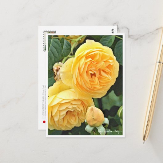 Rose Garden Postkarte (Vorderseite/Rückseite Beispiel)